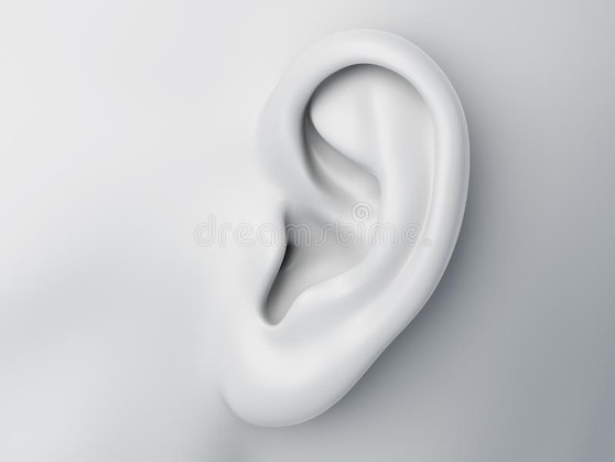Left Ear
