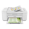 Canon Pixma Home TR4665 A4 Colour Multifunction White