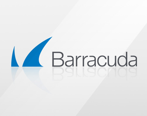 Barracuda Rack Rail Kit for CloudGen Firewall model F12