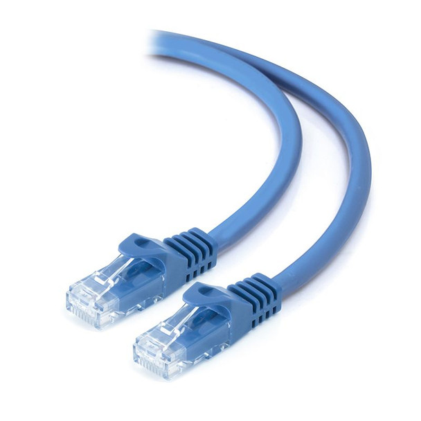 ALOGIC 5m Blue CAT6 network Cable - Box Packaging   - MOQ:4