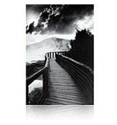 Epson Fine Art Paper Signature Worthy Traditional A4 Sheets (25pcs)