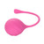 Kegel Training 2-Piece Set