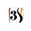 3S