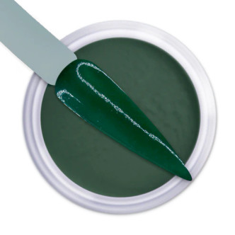 iGel Dip & Dap Powder - DD126 PINE GREEN