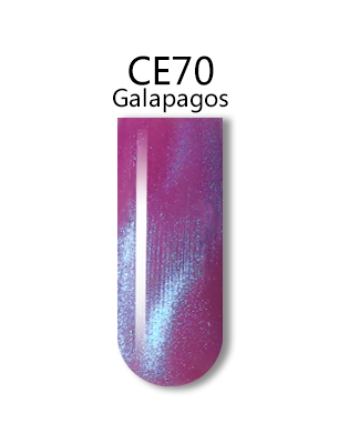 iGel 0.5OZ #CE70 Galapagos - 21178