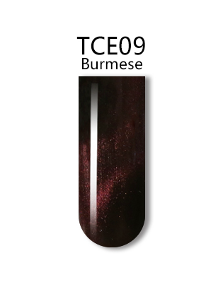 iGel 0.5OZ #TCE09 Burmese - 21109
