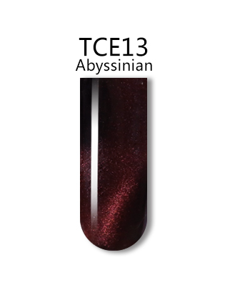 iGel 0.5OZ #TCE13 Abyssinian - 21153