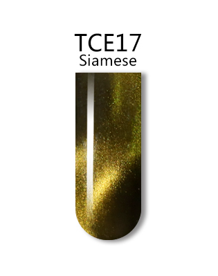 iGel 0.5OZ #TCE17 Siamese - 21157