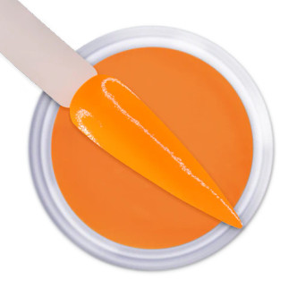 iGel Dip & Dap Powder - DD205 Aim To Please