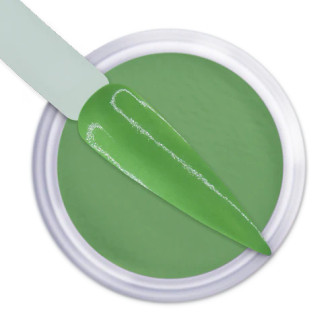iGel Dip & Dap Powder - DD224 I Beleaf In You