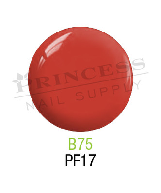 SNS 0.5OZ Basics 1+1 Duo B75 (PF17) - 14192