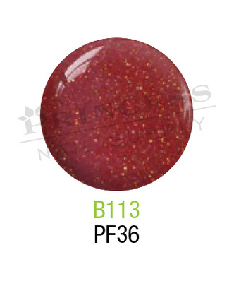 SNS 0.5OZ Basics 1+1 Duo B113 (PF36) - 14192