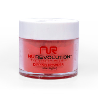 NR Perfection Dip 2oz - #039