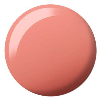 DND Diva Matching Duo, #169 Dramatic Persimmon 