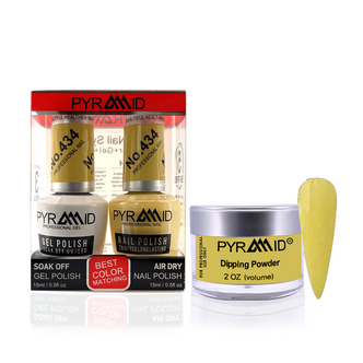 Pyramid Matching 288 - #434