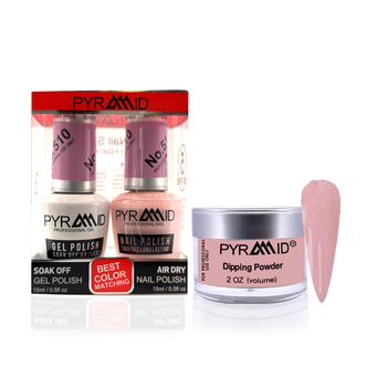 Pyramid Matching 288 - #510