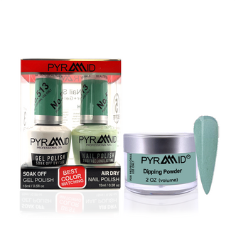 Pyramid Matching 288 - #513