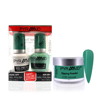 Pyramid Matching 288 - #515
