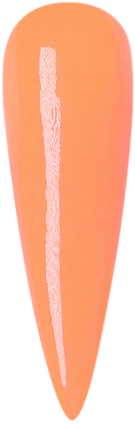 WaveGel Princess Acrylic & Dip, #095 Checkmate 