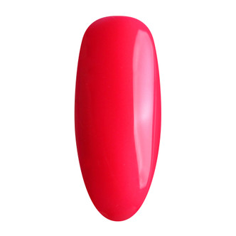 Nurevolution Elite Duo, #067