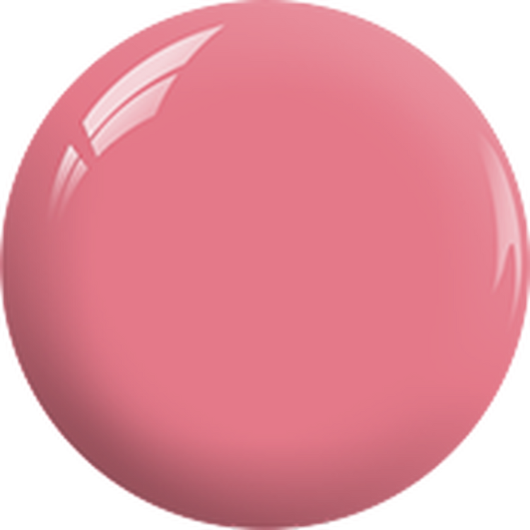 SNS  #BP21 PINK ROBIN