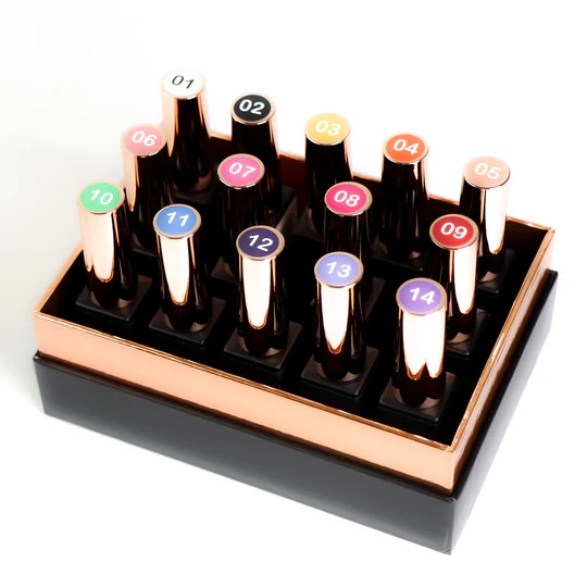 Honey Nail Secret Pro Gel Art Set/14 Colors 