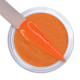 iGel Dip & Dap Powder - DD66 BLAZZING ORANGE