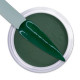 iGel Dip & Dap Powder - DD126 PINE GREEN