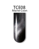 iGel 3D Cat Eye - #TCE08 Maine Coon