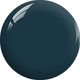 Combo 3 in 1 - #151 U.S. NAVY TEAL