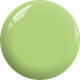 Combo 3 in 1 - #BM27 CHARTREUSE