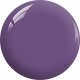 Combo 3 in 1 - #BP17 CROWNED PURPLE JEWEL