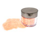 Nurevolution Starlite (loose Glitter) 2oz #24