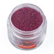 Nurevolution Glitz Powder 2oz #46
