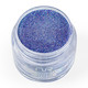 Nurevolution Glitz Powder 2oz #79