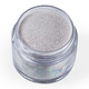 Nurevolution Glitz Powder 2oz #169