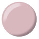 DND Diva Matching Duo, #063 Shortbread 