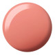 DND Diva Matching Duo, #169 Dramatic Persimmon 