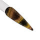 iGel LB Supernova 10D Cateye - SCE13 Canopus