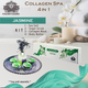 Mademoiselle Collagen 4 Step Case, Jasmine