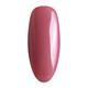 Nurevolution Elite Duo, #025