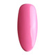 Nurevolution Elite Duo, #095