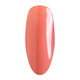 Nurevolution Noble Duo, #019
