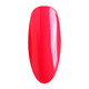 Nurevolution Noble Duo, #022