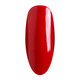 Nurevolution Noble Duo, #031