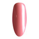 Nurevolution Noble Duo, #082