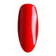 Nurevolution Noble Duo, #110