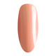 Nurevolution Noble Dip & Acrylic, #017