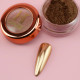 Honey Nail Secret Mirror Chrome #17 - 10g Jar 