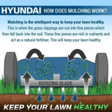 Hyundai 17"/43cm 139cc Self-Propelled Petrol Lawnmower | HYM430SP